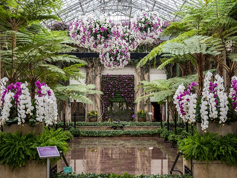 How Much Time to View Orchids at Longwoos 